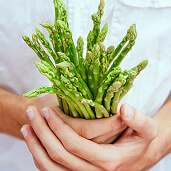 el-about-taste-03.jpg