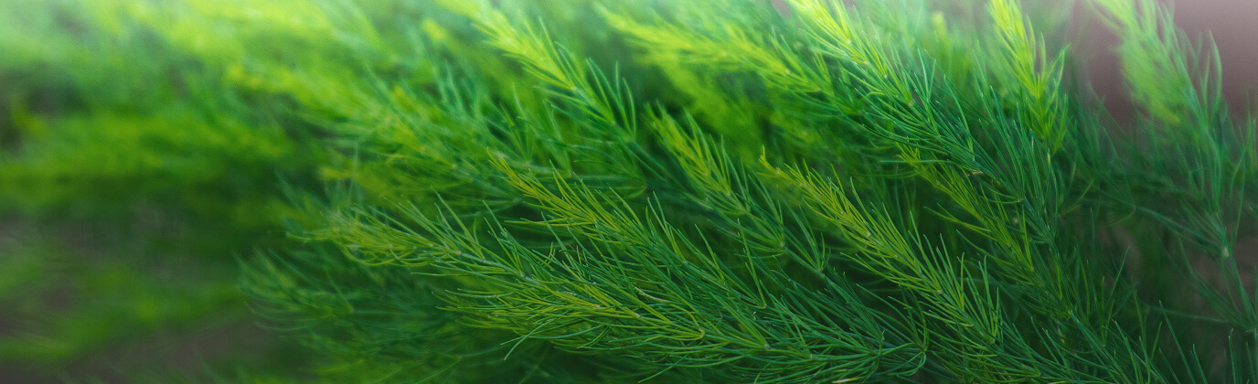 bg-s-header-03.jpg