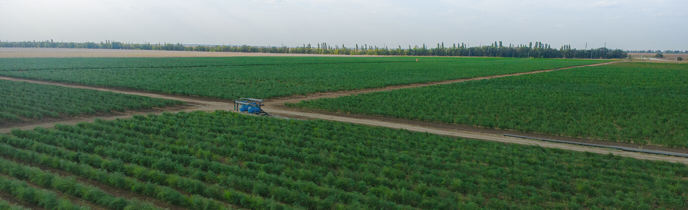 bg-s-header-05.jpg